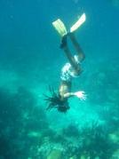 shipwreck snorkelling in bermuda