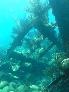 shipwreck montana bow
